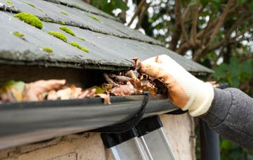 gutter cleaning Wardle