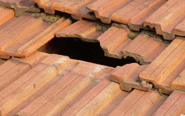 roof repair Wardle